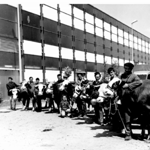 La-Foire-de-Grenoble-dans-les-annees-70